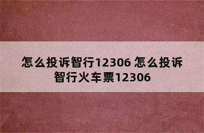 怎么投诉智行12306 怎么投诉智行火车票12306